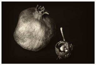 VANITAS (II)