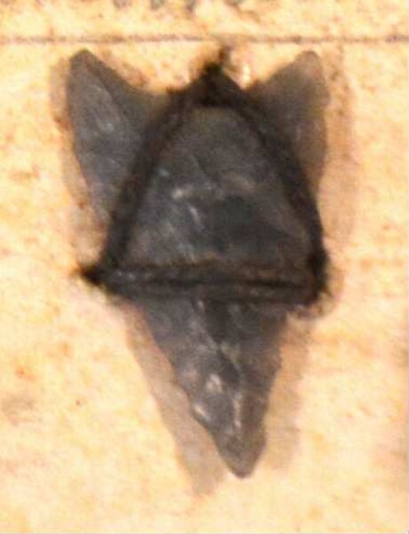 Stone arrowhead