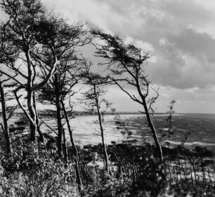 Küstenlandschaft
