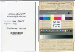 Entnazifizierung Heinrich Westheimer , geb. 15.10.1894 (Ingenieur)