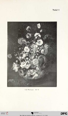 Tafel I-XXII