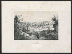 Tübingen von der Nordwest-Seite