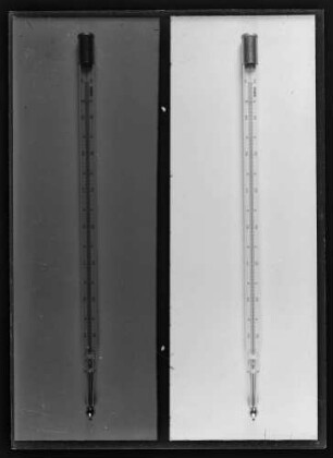 Zwei Thermometer mit Scaleneinteilung