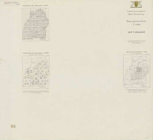 6618 Neckargemünd, Cover