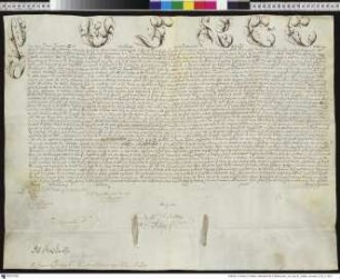 Aussteller: Pius VI. Empfänger: Franz Xaver Rydzynski [Franciszek Ksawery z Wrbna Rydzynski], Bischof von Kulm. Betreff: Erhebung des Johann Nepomuck Karl von Hohenzollern-Hechingen, Bischof von Dibon und Coadjutor von Kulm, zum Abt des Zisterzienserklosters Pelplin / Diözese Kulm