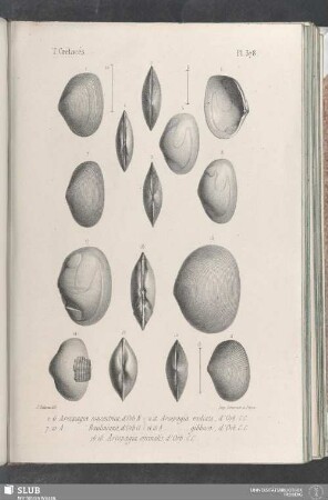 Pl. 378