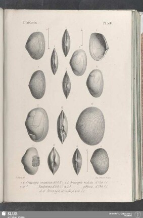 Pl. 378