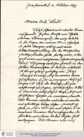 Brief vom 13.02.1899