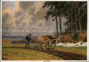 Bauer beim Pflügen mit Ochsengespann