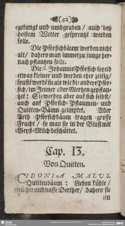 Cap. 13. Von Quitten