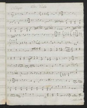 Due Viola