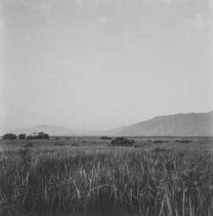 Panorama : Panorama der Virunga-Vulkankette zum Westrand des Grabenbruchs