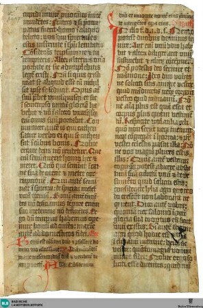 Missale, Fragment - Cod. Karlsruhe 1447