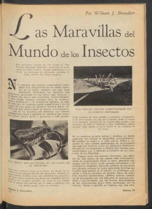 Las maravillas del mundo de los insectos : [De "The National Geographic Magazine"]
