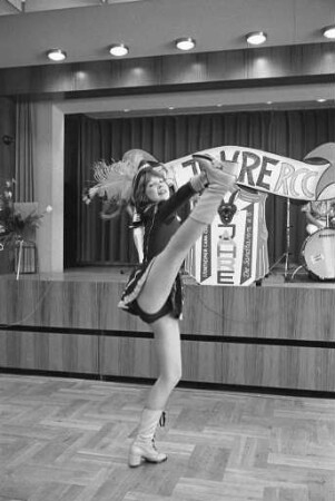 1. Rintheimer Carneval Club RCC 1971 "Die Sandhasen e.V.". Ordensmatinée im Heinz-Schuchmann-Haus anlässlich des 11jährigen Bestehens