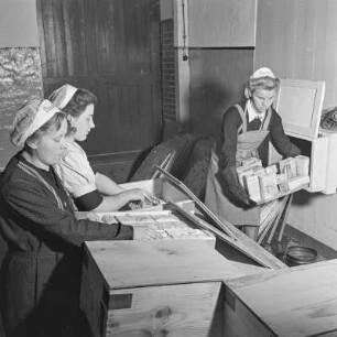 Konservenfabrik Vauka in Bramsche, Frauen verpacken Konserven in Kisten