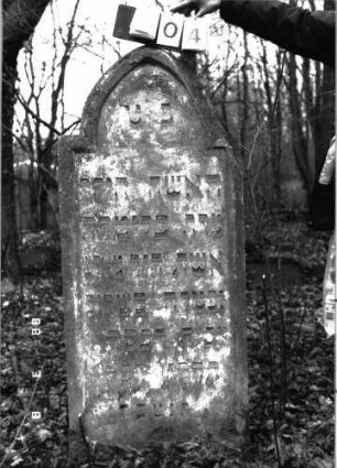 Grabstein 904