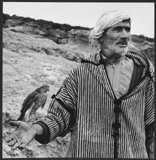 Falkner : Portrait eines Falkners in Tunesien.