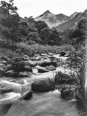 Landschaft (Sammlung Hans Stübel - 2. Forschungsreise durch Hainan 1932)