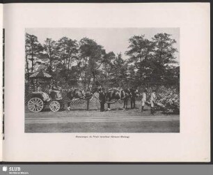 Blumenwagen, die Freude darstellend (Gärtnerei-Abteilung)