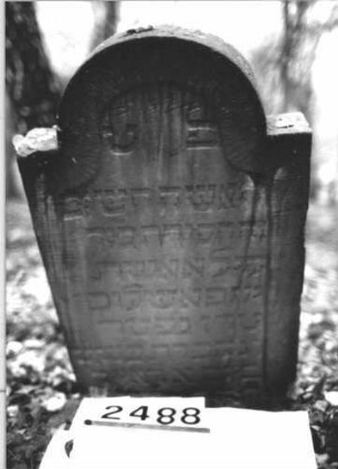 Grabstein 2488