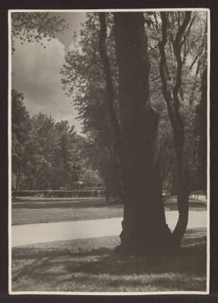Der Schlossgarten. Detmold, Schlossplatz