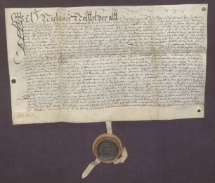 Nikolaus Nöttel von Dossenheim verschreibt sich gegenüber der Landschreiberei Heidelberg wegen 100 Gulden Kapital.