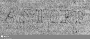 [Wasserzeichen Bl. 62]