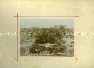 Grab deutscher Soldaten in Namibia