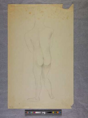 o. T. (stehender Rückenakt; aus dem Aktzeichnen an der Burg Giebichenstein Halle)