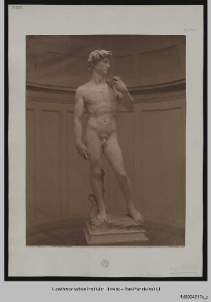 David