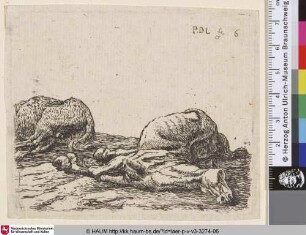[Zwei tote Pferde; The two Dead Horses; Twee dode paarden]