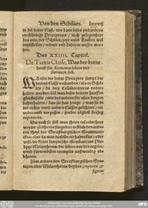 Das XXIIII. Capitel. De Tertia Classe. Was der dritte hauff für Lectiones hören und studieren soll.