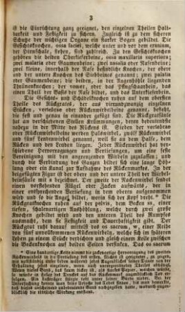 Beschreibung des menschlichen Körpers