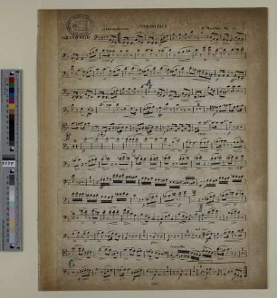 Violoncello.