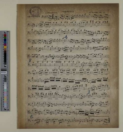 Violoncello.