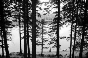 Mummelsee: Rund um den See; Seeufer, von oben