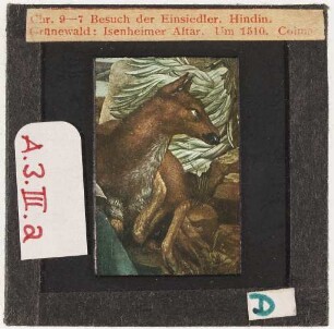 Grünewald: Isenheimer Altar, Besuch der Einsiedler, Detail: Hindin (Erste Farb-Kleinbilddias am Seminar, 1943 angekauft)
