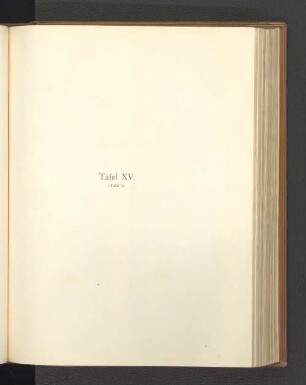 Tafeln XV-XXI