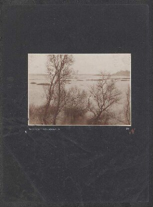 Wiedererrichtung der Savebrücke bei Belgrad: Panorama Semlin-Belgrad II