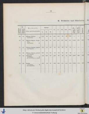 B. Schädel und Skelette anthropoider Affen.