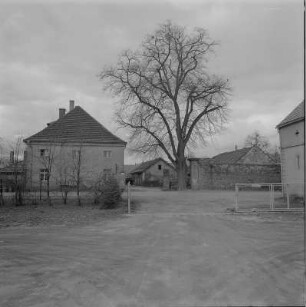 Ehemaliges Kammergut, Blick zum Eingangstor des Hofes der ehemaligen Mälzerei : Dresden-Pillnitz, Dampfschiffstraße 2. Ehem. Kammergut. Großer Pferdestall (1872)