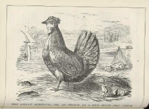 The great surplus; or, as proud as a hen with one chick