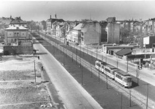 Hamburg. Altona. Wiederaufbau. 1948 Palmaille-die ersten Bäume sind gepflanzt.