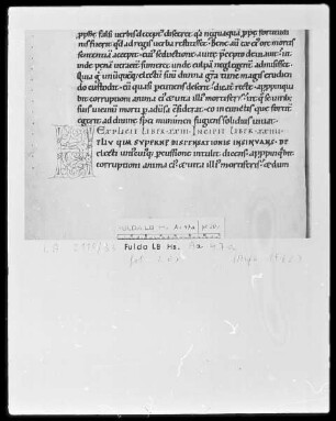 Gregorius Magnus, Moralia in Job, Pars 5, Liber 23-27 — Initiale H, Folio 20verso