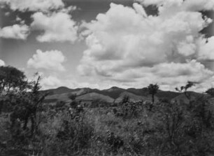 Hügellandschaft : Blick über eine Hügellandschaft in der Region Arusha in Tansania