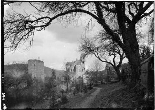 Miltenberg Mildenburg Gesamtansicht