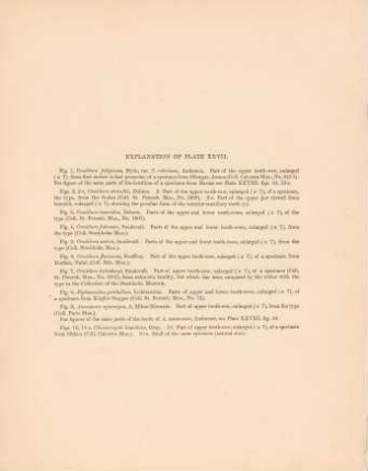 Explanation of plate XXVII.