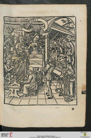 Liber Quintus: de principiis Musice