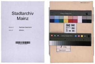 Aktennotizen über Besprechungen mit der Geheimen Staatspolizei, Außendienststelle Mainz